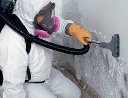 Best Emergency Mold Remediation  in Taylorsville, KY